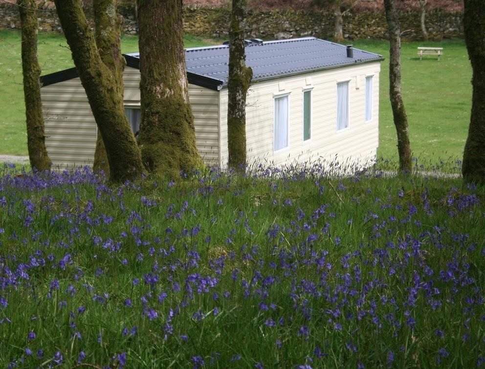 Dinas Hotel Llanbedr  Exterior foto
